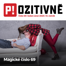 Obrázek č. 246